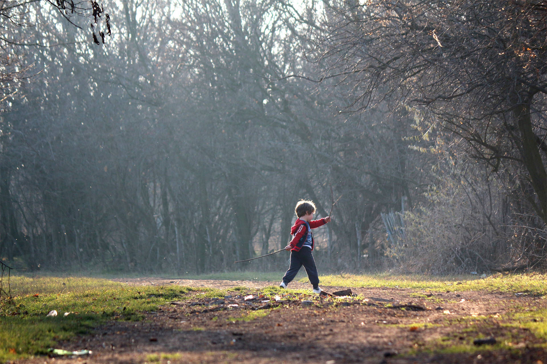 child-997231.jpg